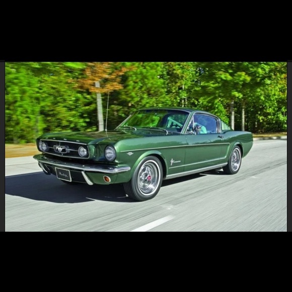 Meet your Posher, Gavin - Picture 1 of 1